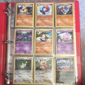 🔴Pokémon binder🔴